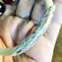 Bracelet Naga Eye Leklai Healing Stone Elephant Tail Silver Thai Amulet #17360