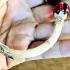 Bracelet Naga Eye Leklai Healing Stone Elephant Tail Silver Thai Amulet #17360