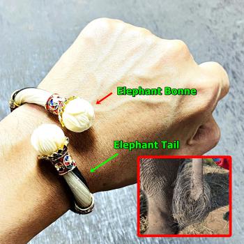 Sacred Bracelet Bangle Hand Carved Elephant Tail Mass Chant Thai Amulet #17361