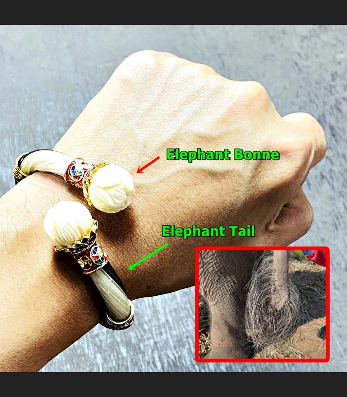 Sacred Bracelet Bangle Hand Carved Elephant Tail Mass Chant Thai Amulet #17361