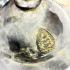 Large Old Bronze Water Bowl Jaosua Lotus Shield Pidta Lp Boon Thai Amulet #17363