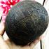 Coconut Shell No Hold Rahu Ma Ha Eut Gambling Money Masschant Thai Amulet #17368