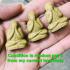 Miniature Close Eye Pidta Tukkata Wealth Lp Toh Be2521 Yellow Thai Amulet #17376