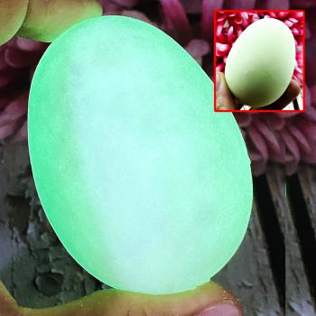 Leklai Healing Egg Shape Protection Life Glow In Dark Somporn Thai Amulet #17392