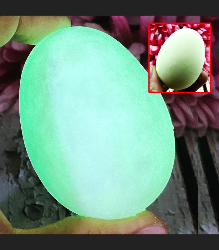 Leklai Healing Egg Shape Protection Life Glow In Dark Somporn Thai Amulet #17392