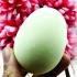 Leklai Healing Egg Shape Protection Life Glow In Dark Somporn Thai Amulet #17392