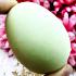 Leklai Healing Egg Shape Protection Life Glow In Dark Somporn Thai Amulet #17392