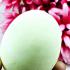 Leklai Healing Egg Shape Protection Life Glow In Dark Somporn Thai Amulet #17392
