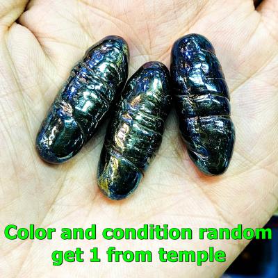 Leklai Kotipe Black Shine Mekaphat Capsule Umklum Invincible Thai Amulet #17447