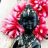 Metal Boy Yhantra Guman Gambling Win Ride Money Pot Lp Udomsub Thai Amulet 17529