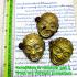 Jaw Ngoe Gambling Money Rich Metal Smile Joker Casino Win Deng Thai Amulet 17582