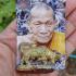 Wouetanu Buffalo Harmless Prevent Kalong Be2551 Yellow bullet Thai Amulet #17607