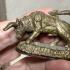 Wouetanu Buffalo Harmless Prevent Kalong Be2551 Yellow bullet Thai Amulet #17607