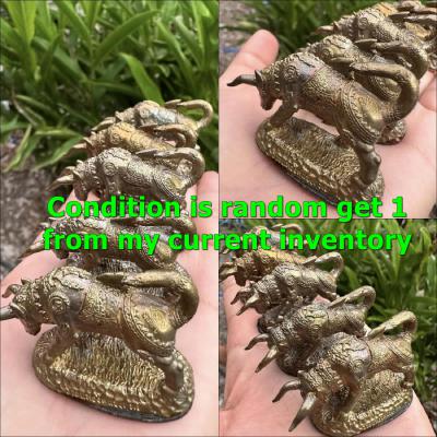 Wouetanu Buffalo Harmless Prevent Kalong Be2551 Yellow bullet Thai Amulet #17607