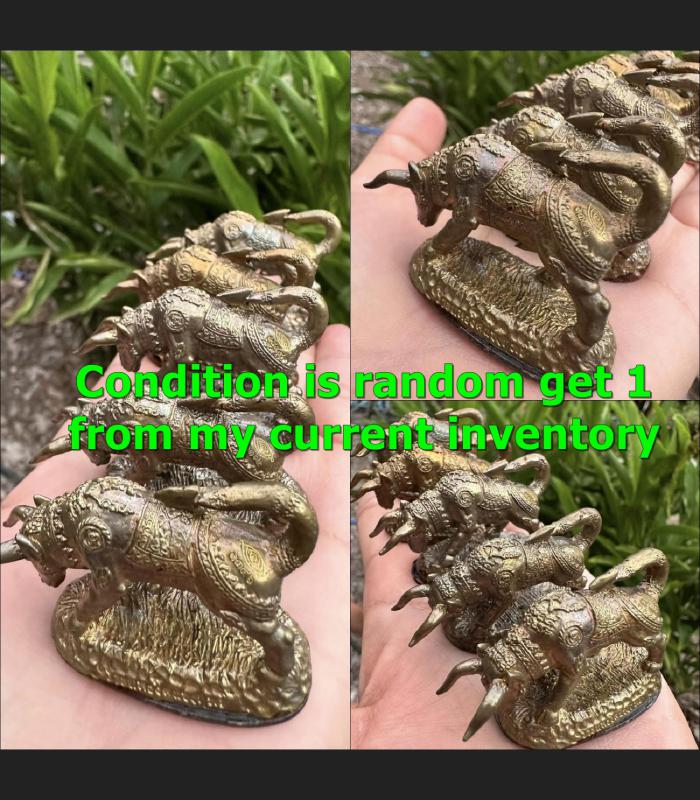 Wouetanu Buffalo Harmless Prevent Kalong Be2551 Yellow bullet Thai Amulet #17607