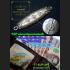 Fast Rich Wealth Money Billionaire Leech Lp Arjarn O Ajarn Ole Thai Amulet 17617