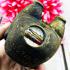 Guman Lokok Boy Baby Statue Ashes Fetus Wealth Lp Nen Be2554 Thai Amulet #17622