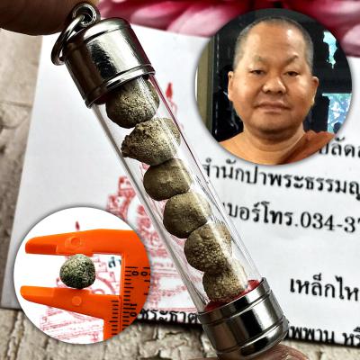 Sarira Sivali Buddha Relic 6 Brain Leklai Arahan Stone Somporn Thai Amulet 17673
