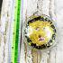 Panneng Tiger Forehead 3takrut Protection Lucky Magic Tawee Thai Amulet #17685