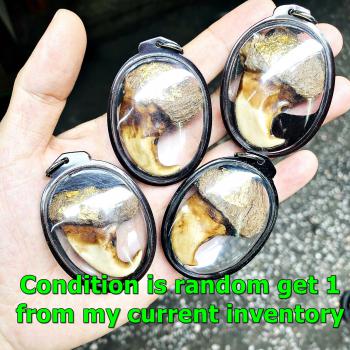 Magic Claw Pern WatBangpha Tiger Guardian No Harm Protection Thai Amulet #17686