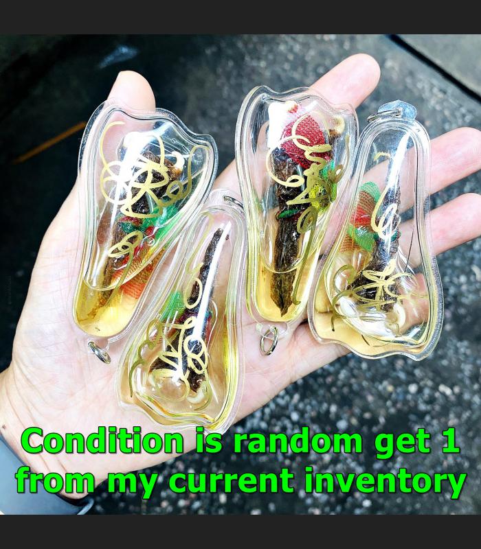 Boa Spurs Gambling Charm Mercy Paladkik Cobra Penis Tawee Oil Thai Amulet #17687