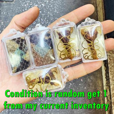 2in1 Cobra Snake Boa Spurs Gambling Money Wealth Charm Penis Thai Amulet #17688