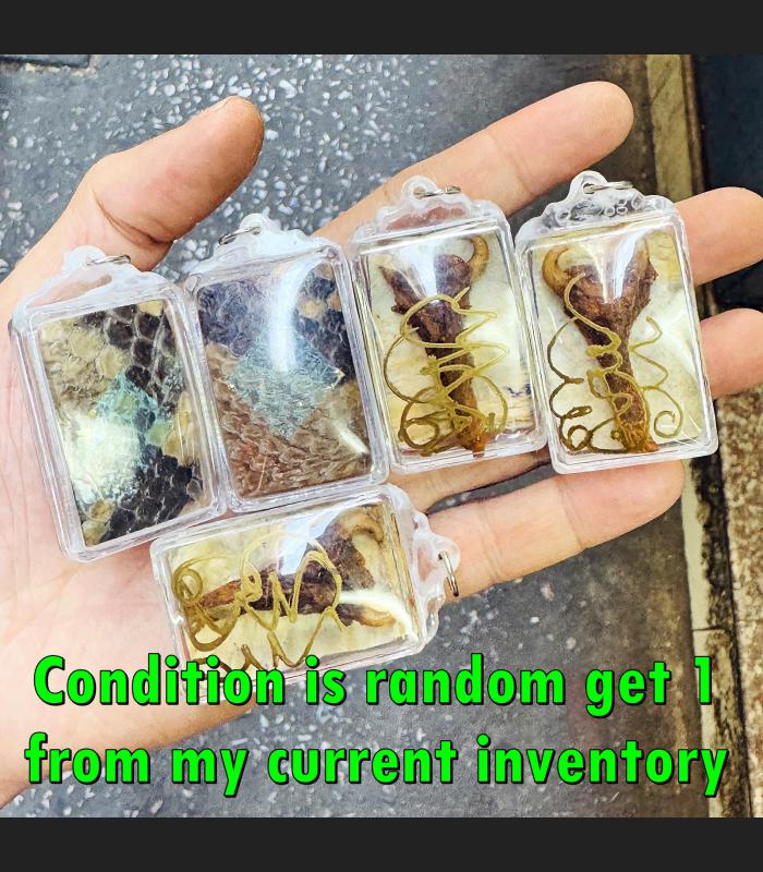 2in1 Cobra Snake Boa Spurs Gambling Money Wealth Charm Penis Thai Amulet #17688