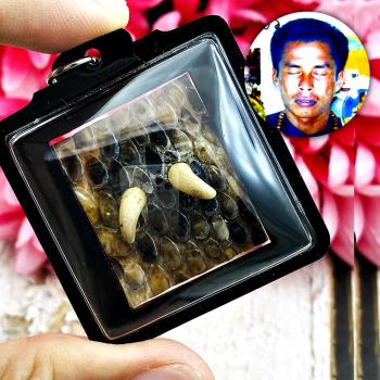 Pendant Cobra Boa Spurs Gambling Money Wealth Lust Charm Penis Thai Amulet 17689