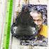 Lersri Pusing SaMingPlai Hermit Magic Protection Kalong Be2551 Thai Amulet 17702