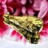 Leklai Suwanracha Cave Drop Yellow Gold Millionair Money Lucky Thai Amulet 17743