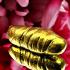 Leklai Suwanracha Cave Drop Gold Change Fortune To Millionair Thai Amulet #17744