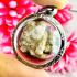 Buddha Relic Brain Stone Sarira Sivali Leklai Lucky Fortune Thai Amulet #17746