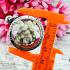 Buddha Relic Brain Stone Sarira Sivali Leklai Lucky Fortune Thai Amulet #17746