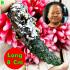 Leklai Kaew 3in1 Fang Silver Green Invincible Survive Somporn Thai Amulet #17770