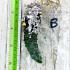Leklai Kaew 3in1 Fang Silver Green Invincible Survive Somporn Thai Amulet #17770