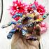 Leklai Rowel Chakra Wheel Rainbow Fortune Protection Immortal Thai Amulet #17802