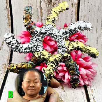 Leklai Rowel Wheel Chakra 3in1 Magic Immortal Protection Safe Thai Amulet #17803