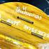 Wooden Box Money Pot Cash Rich Wealth Lucky Watbangpha Be2560 Thai Amulet #17808