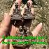 Miniature Kalong Lersri Hermit Head Tewaroob Lucky Rich Be2551 Thai Amulet 17820