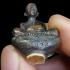 Miniature Meditation Monk 1st Kalong Be2548 Tiger Hair Cloth Thai Amulet #17827