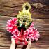 Khon Mask 3eye Lersri Tafai Long Beard Gold Pern Watbangpha Thai Amulet #17832