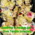 Khon Mask Porkae Lersri Gold Face Lucky Magic Pern Watbangpha Thai Amulet #17833