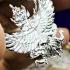 PayaKrut Garuda Half Bird Lucky Control Mind Mass Chant Be2566 Thai Amulet 17842