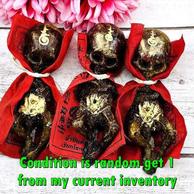 Mummy Lokok Guman Red Blood Alien Gambling Lucky Money Tawee Thai Amulet #17878