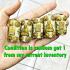 Ancient Gold Takrut Leklai Crystal Relic Somdej Toh WatPhaKaew Thai Amulet 17882
