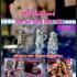 Mini Ngang 925 Silver Love Luck Lust Charm Phra Arjarn O Ajarn Thai Amulet 17885