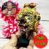 Puseir Lersri Tiger Head Khon Mask Protection Life Watbangpha Thai Amulet #17900
