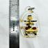Metal Khunpaen Gold Face Love Lust Mercy Fortune Subin Be2567 Thai Amulet #17922