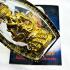 Ghost Protection Shield King Of Hell Harmless Payayom Ac Plien Thai Amulet 17923