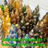 Antique Leklai Green Stone Quartz Crystal Buddha Statue KruHod Thai Amulet 17977